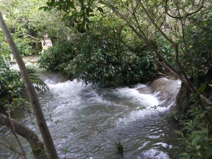 五指山青瓜价格回暖 重新抢占瓜菜市场