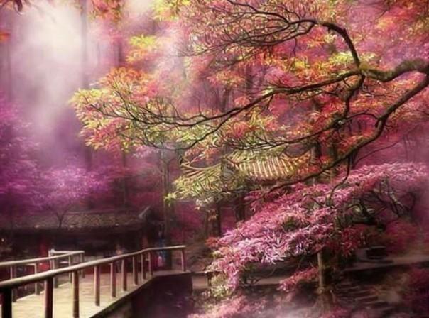 火龙冒险
