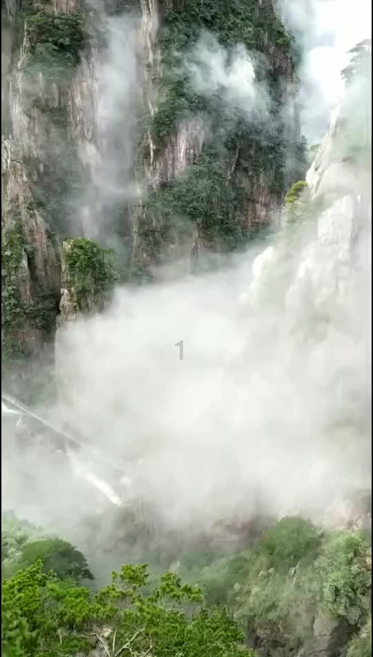 山东省精神卫生重点政策研讨会在枣庄市召开